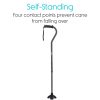 Black Standing Cane Tip - Thumbnail Image 2