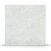Systagenix Fibracol Plus Collagen/Alginate Dressing, 10 x 11 Centimeter, Qty 1 Dressing - Thumbnail Image 2